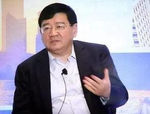 徐小平爆料视频在线观看,揭秘娱乐圈内幕，独家视角带你走进真实娱乐圈