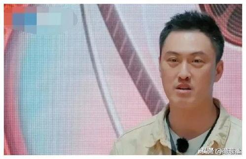 娱乐圈吃瓜爆料文章,揭秘明星背后的惊人真相！