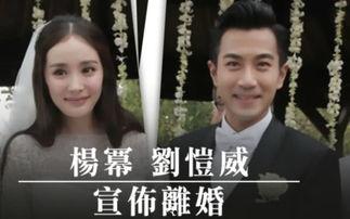 带你娱乐圈吃大瓜